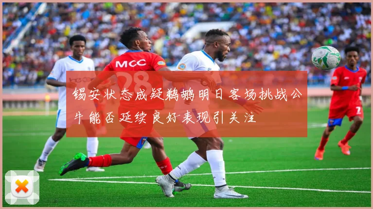 锡安状态成疑鹈鹕明日客场挑战公牛能否延续良好表现引关注