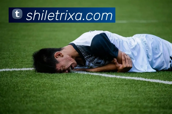 时乐体育发展历程